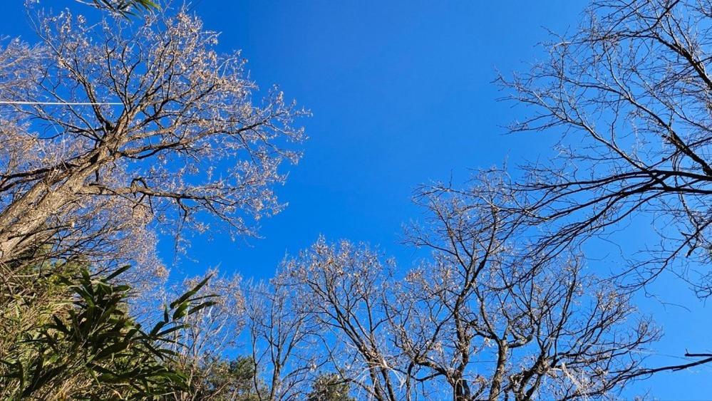 Yangyang Little Forest Pension Bagian luar foto